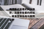 用流量也能看的网站推荐,流量也能看的网站,精准营销指南与案例分析 用流量也能看的网站推荐,流量也能看的网站,精准营销指南与案例分析