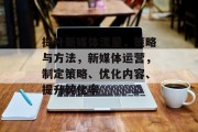 提升新媒体流量,策略与方法,新媒体运营,制定策略、优化内容、提升转化率 提升新媒体流量,策略与方法,新媒体运营,制定策略、优化内容、提升转化率