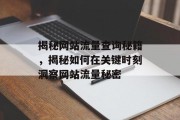 揭秘网站流量查询秘籍,揭秘如何在关键时刻洞察网站流量秘密 揭秘网站流量查询秘籍,揭秘如何在关键时刻洞察网站流量秘密