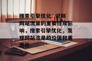 搜索引擎优化: 识别网站流量的重要性及影响，搜索引擎优化，发现网站流量的价值和重要性