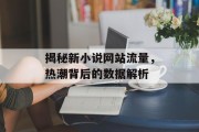 揭秘新小说网站流量,热潮背后的数据解析 揭秘新小说网站流量,热潮背后的数据解析