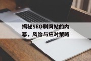 揭秘SEO刷网站的内幕,风险与应对策略 揭秘SEO刷网站的内幕,风险与应对策略
