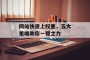 网站快速上权重，五大策略助你一臂之力