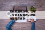 王权的游戏攻略，攻略，全新王权游戏，攻略秘籍等你来拿！