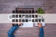 谁的网站流量最大？，百度用户访问量第一，你是否也是一名搜索引擎狂人?