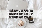 深度解析,五大热门查看网站流量的工具,助你洞察网站运营脉搏 深度解析,五大热门查看网站流量的工具,助你洞察网站运营脉搏