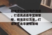 精准定位目标用户流量,打造高点击率营销策略,精准定位流量,打造高点击率营销策略