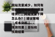 网站流量减少，如何有效调整策略以保持健康增长？，网站流量下降怎么办？| 建议策略 | 成本分析 | 预测效果 | 目标和预期结果