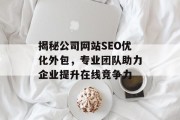 揭秘公司网站SEO优化外包,专业团队助力企业提升在线竞争力 揭秘公司网站SEO优化外包,专业团队助力企业提升在线竞争力
