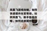 凤凰飞游戏攻略，如何快速提升玩家等级，玩转凤凰飞，新手指南攻略，如何迅速提升等级