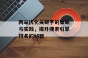网站优化关键字的策略与实践，提升搜索引擎排名的秘籍