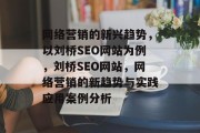 网络营销的新兴趋势，以刘桥SEO网站为例，刘桥SEO网站，网络营销的新趋势与实践应用案例分析