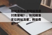 如何有效运用网站流量付费策略?,如何精准定位网站流量,降低费用? 如何有效运用网站流量付费策略?,如何精准定位网站流量,降低费用?