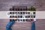 超额流量查询网站的实用技巧与案例分析,提高网站流量,超额流量查询方法与案例分析 超额流量查询网站的实用技巧与案例分析,提高网站流量,超额流量查询方法与案例分析