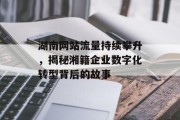 湖南网站流量持续攀升,揭秘湘籍企业数字化转型背后的故事 湖南网站流量持续攀升,揭秘湘籍企业数字化转型背后的故事