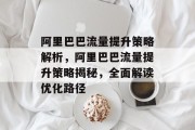 阿里巴巴流量提升策略解析,阿里巴巴流量提升策略揭秘,全面解读优化路径 阿里巴巴流量提升策略解析,阿里巴巴流量提升策略揭秘,全面解读优化路径
