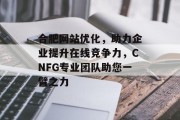 合肥网站优化，助力企业提升在线竞争力，CNFG专业团队助您一臂之力