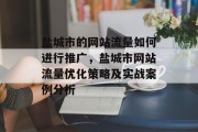 盐城市的网站流量如何进行推广,盐城市网站流量优化策略及实战案例分析 盐城市的网站流量如何进行推广,盐城市网站流量优化策略及实战案例分析