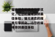 猫儿迷恋的搜索引擎优化，让您的猫咪得到最佳体验，猫儿迷恋的搜索引擎优化，让您的猫咪得到最佳体验