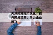 天津网站推广优化，提升网站流量，助力企业腾飞