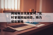 网站每日流量查询,实时掌握网站动态,助力优化策略 网站每日流量查询,实时掌握网站动态,助力优化策略