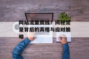 网站流量费钱?揭秘流量背后的真相与应对策略 网站流量费钱?揭秘流量背后的真相与应对策略