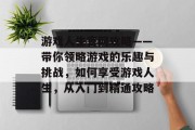 游戏人生官网攻略——带你领略游戏的乐趣与挑战，如何享受游戏人生，从入门到精通攻略