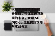 大理SEO优化流量提升策略，带你走进互联网的未来，大理 SEO优化，流量提升攻略与实战分享