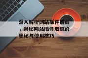 深入解析网站插件后缀，揭秘网站插件后缀的奥秘与使用技巧