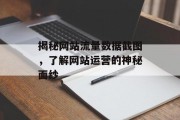 揭秘网站流量数据截图，了解网站运营的神秘面纱