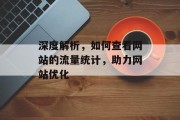 深度解析,如何查看网站的流量统计,助力网站优化 深度解析,如何查看网站的流量统计,助力网站优化