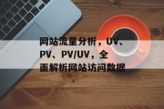 网站流量分析，UV、PV、PV/UV，全面解析网站访问数据