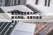 废文网站流量大吗?,废文网站,流量到底有多大? 废文网站流量大吗?,废文网站,流量到底有多大?