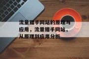 流量猎手网站的原理与应用，流量猎手网站，从原理到应用分析