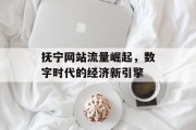 抚宁网站流量崛起,数字时代的经济新引擎 抚宁网站流量崛起,数字时代的经济新引擎