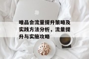 唯品会流量提升策略及实践方法分析,流量提升与实施攻略 唯品会流量提升策略及实践方法分析,流量提升与实施攻略
