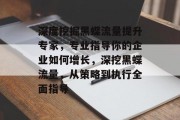 深度挖掘黑蝶流量提升专家,专业指导你的企业如何增长,深挖黑蝶流量,从策略到执行全面指导 深度挖掘黑蝶流量提升专家,专业指导你的企业如何增长,深挖黑蝶流量,从策略到执行全面指导