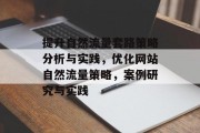 提升自然流量套路策略分析与实践,优化网站自然流量策略,案例研究与实践 提升自然流量套路策略分析与实践,优化网站自然流量策略,案例研究与实践