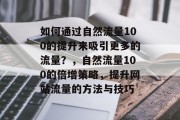 如何通过自然流量100的提升来吸引更多的流量？，自然流量100的倍增策略，提升网站流量的方法与技巧