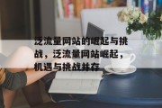 泛流量网站的崛起与挑战,泛流量网站崛起,机遇与挑战并存