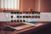 揭秘网站不限流量的秘密,四大策略助你轻松应对高并发 揭秘网站不限流量的秘密,四大策略助你轻松应对高并发