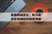 新疆网站优化，助力企业在线崛起的秘密武器