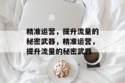 精准运营,提升流量的秘密武器,精准运营,提升流量的秘密武器