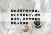 提升流量的秘密武器，全方位策略解析，精细化运营，全面策略解析提升流量秘籍