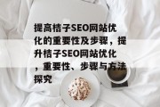提高桔子SEO网站优化的重要性及步骤,提升桔子SEO网站优化,重要性、步骤与方法探究 提高桔子SEO网站优化的重要性及步骤,提升桔子SEO网站优化,重要性、步骤与方法探究