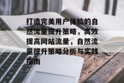打造完美用户体验的自然流量提升策略，高效提高网站流量，自然流量提升策略分析与实践指南