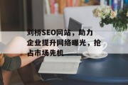 刘桥SEO网站，助力企业提升网络曝光，抢占市场先机