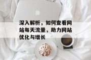 深入解析,如何查看网站每天流量,助力网站优化与增长 深入解析,如何查看网站每天流量,助力网站优化与增长