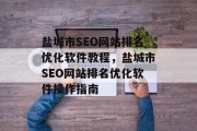 盐城市SEO网站排名优化软件教程,盐城市SEO网站排名优化软件操作指南 盐城市SEO网站排名优化软件教程,盐城市SEO网站排名优化软件操作指南
