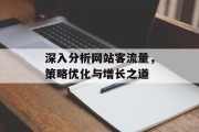 深入分析网站客流量,策略优化与增长之道 深入分析网站客流量,策略优化与增长之道